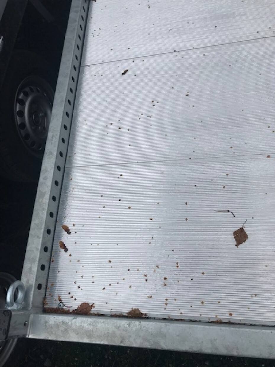 Anssems Fahrzeugtransporter 